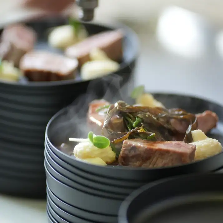 Plat chaud Calixir